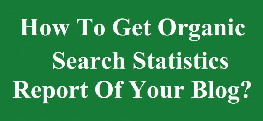 Organic Search Statistics